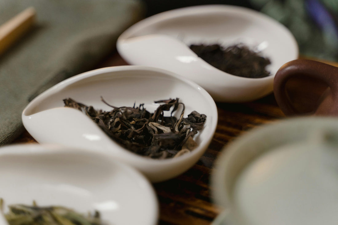 Wuzhou Liubao Tea from Guangxi
